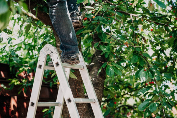 Thang nh&ocirc;m gấp ứng dụng đa dạng trong nhiều lĩnh vực